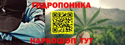СК Можга