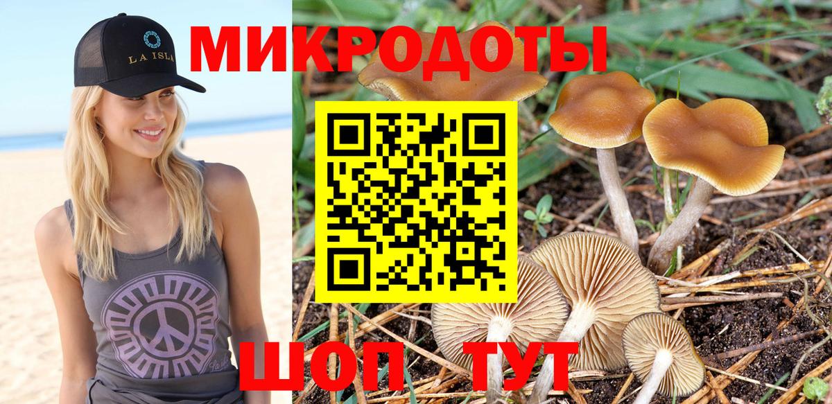 Татарск  Псилоцибиновые грибы Magic Shrooms  как найти закладки  Вход с VPN  Псилоцибиновые грибы Psilocybe 